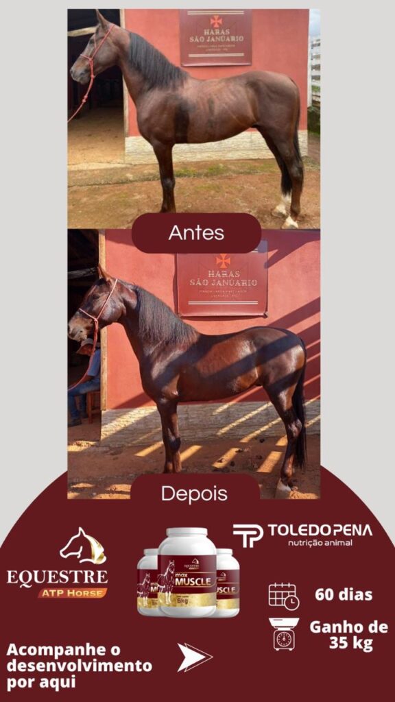 WhatsApp Image 2024-10-10 at 11.00.59