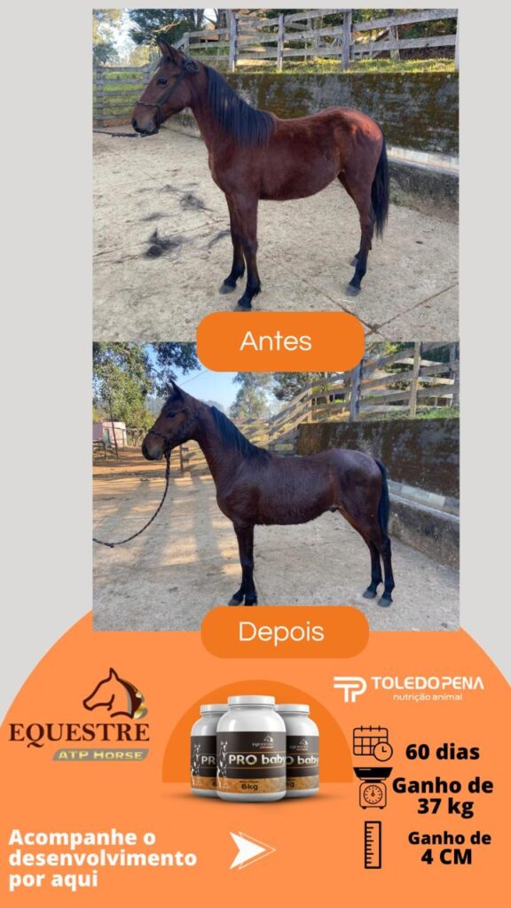 WhatsApp Image 2024-10-10 at 11.01.00 (1)