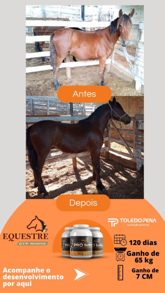 WhatsApp Image 2024-10-10 at 11.01.00 (2)