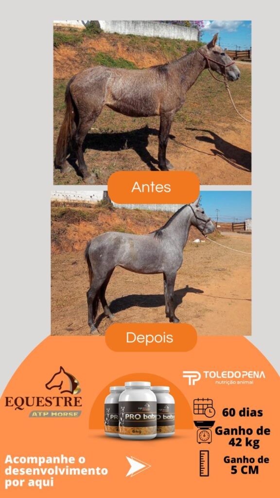 WhatsApp Image 2024-10-10 at 11.01.00 (3)