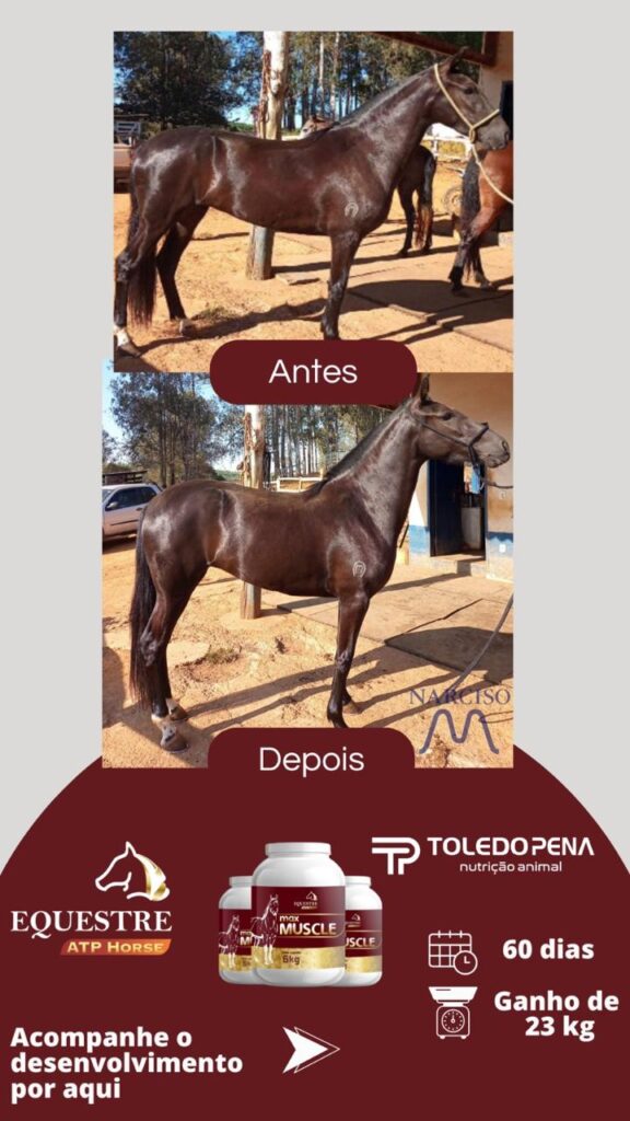 WhatsApp Image 2024-10-10 at 11.01.00 (4)