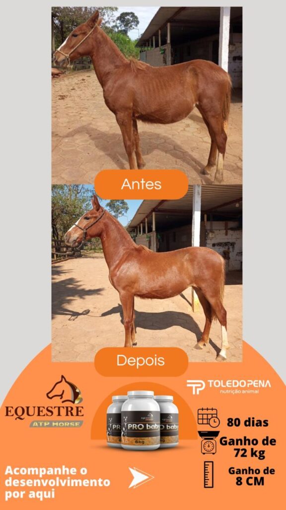 WhatsApp Image 2024-10-10 at 11.01.00