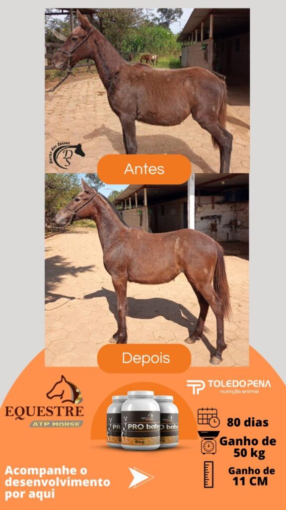 WhatsApp Image 2024-10-10 at 11.01.01 (1)