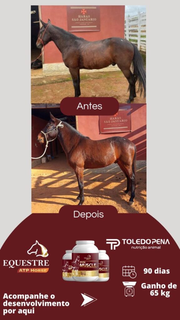 WhatsApp Image 2024-10-10 at 11.01.01 (2)