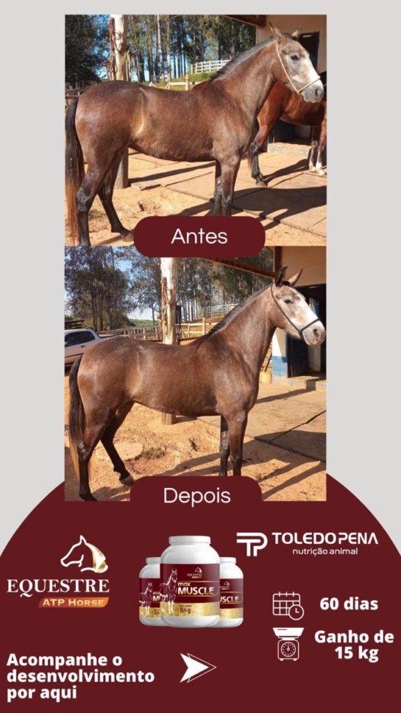 WhatsApp Image 2024-10-10 at 11.01.01 (3)