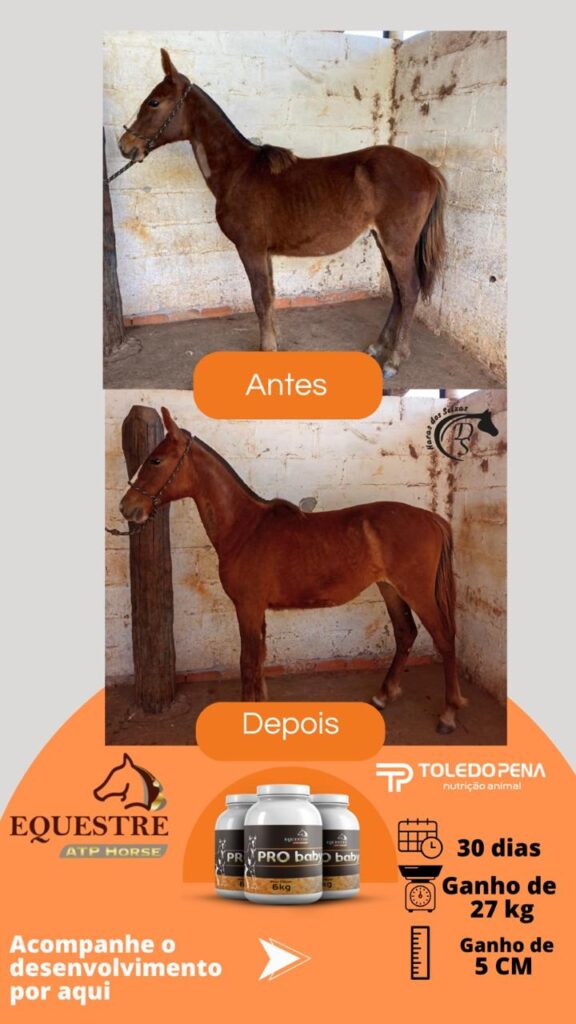 WhatsApp Image 2024-10-10 at 11.01.01